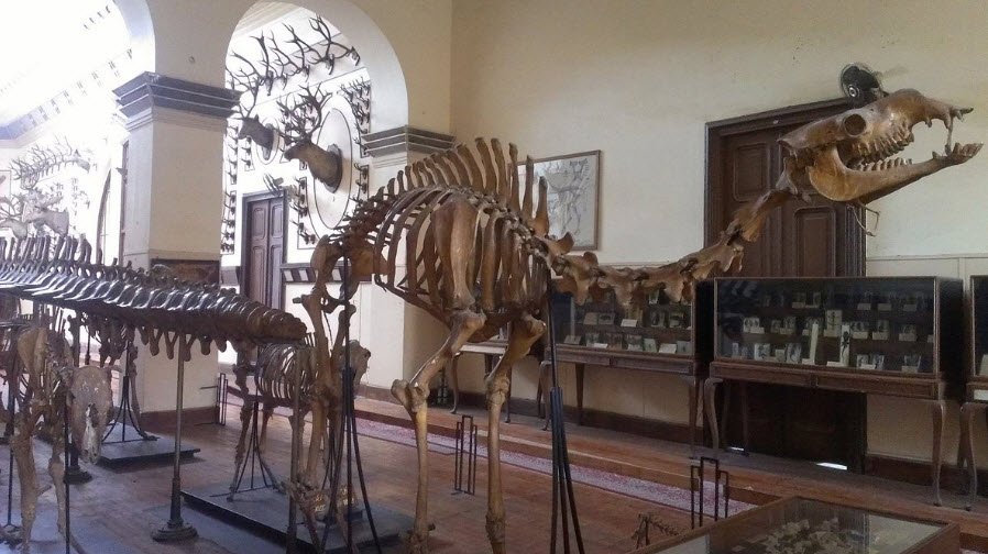 The Agricultural Museum, Giza, Egypt, Egypt